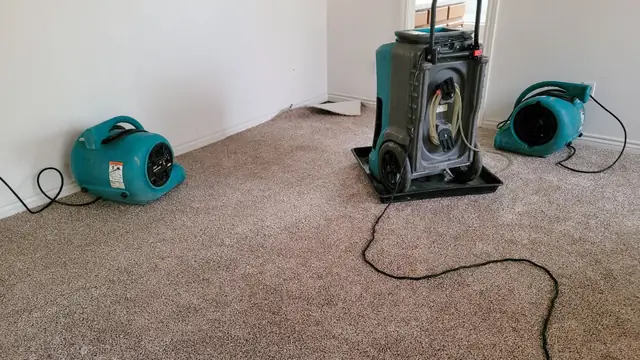 Air movers and a dehumidifier running on a carpeted room to dry it